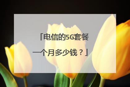 电信的5G套餐一个月多少钱?