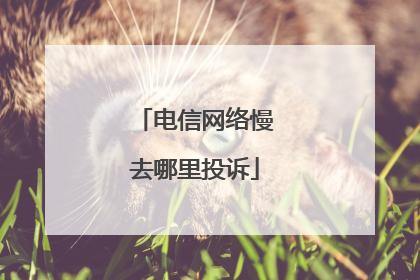 电信网络慢去哪里投诉