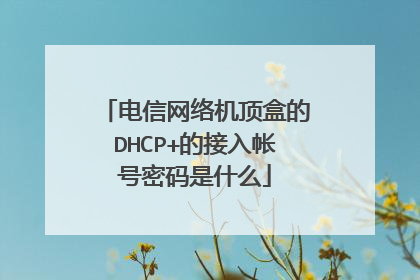 电信网络机顶盒的DHCP+的接入帐号密码是什么