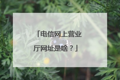 电信网上营业厅网址是啥？
