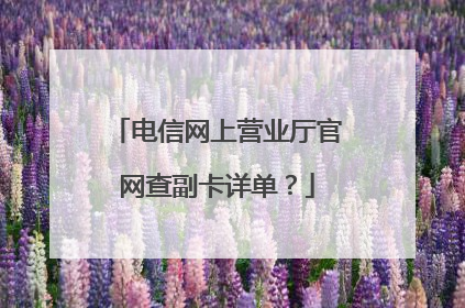 电信网上营业厅官网查副卡详单?