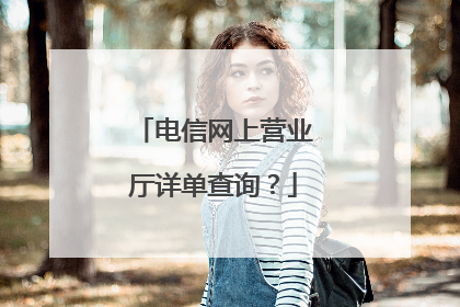 电信网上营业厅详单查询?