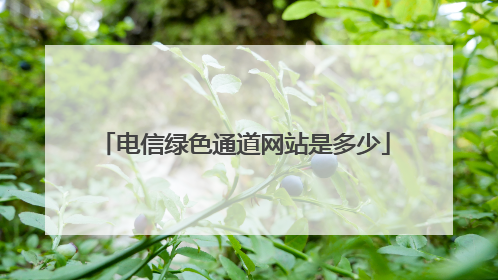 电信绿色通道网站是多少