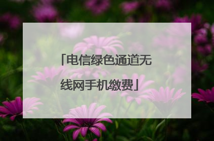 电信绿色通道无线网手机缴费