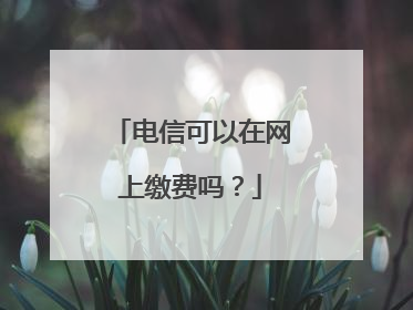 电信可以在网上缴费吗?