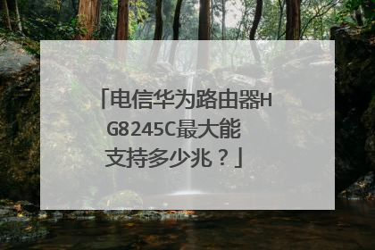 电信华为路由器HG8245C最大能支持多少兆?