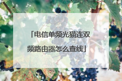 电信单频光猫连双频路由器怎么查线