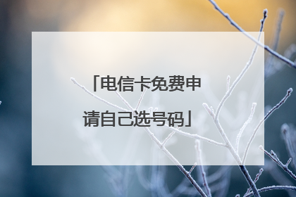 电信卡免费申请自己选号码