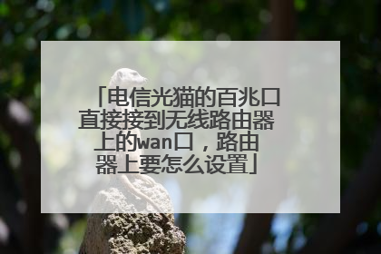 电信光猫的百兆口直接接到无线路由器上的wan口,路由器上要怎么设置