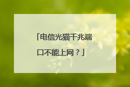 电信光猫千兆端口不能上网?
