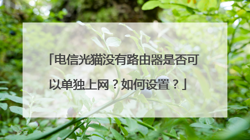 电信光猫没有路由器是否可以单独上网？如何设置？
