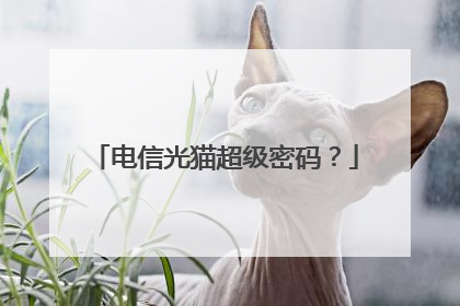 电信光猫超级密码?