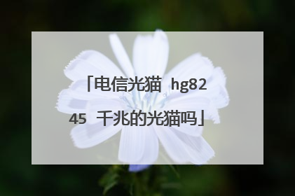 电信光猫 hg8245 千兆的光猫吗