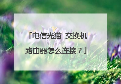 电信光猫 交换机 路由器怎么连接？