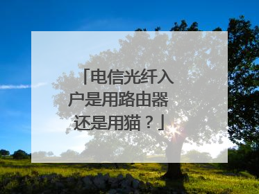电信光纤入户是用路由器还是用猫？