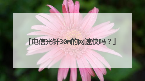 电信光钎30M的网速快吗?