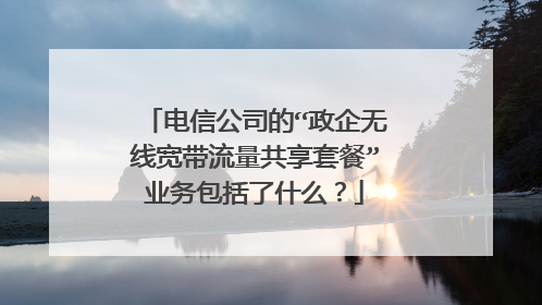 电信公司的“政企无线宽带流量共享套餐”业务包括了什么?
