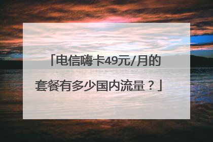 电信嗨卡49元/月的套餐有多少国内流量？