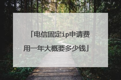 电信固定ip申请费用一年大概要多少钱