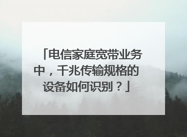 电信家庭宽带业务中,千兆传输规格的设备如何识别?