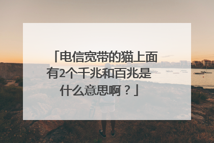电信宽带的猫上面有2个千兆和百兆是什么意思啊?
