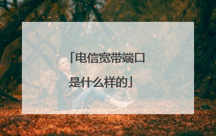 电信宽带端口是什么样的