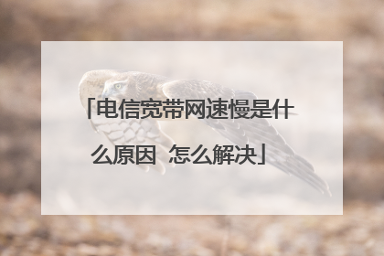电信宽带网速慢是什么原因 怎么解决