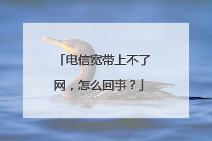 电信宽带上不了网，怎么回事？