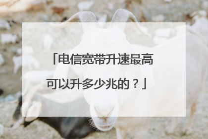 电信宽带升速最高可以升多少兆的?