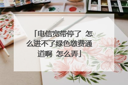 电信宽带停了 怎么进不了绿色缴费通道啊 怎么弄