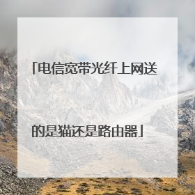 电信宽带光纤上网送的是猫还是路由器
