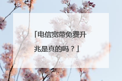 电信宽带免费升兆是真的吗?