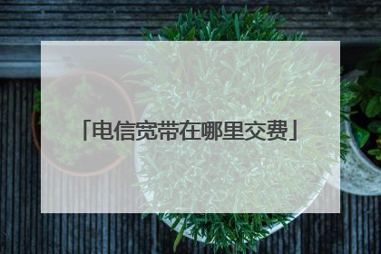电信宽带在哪里交费
