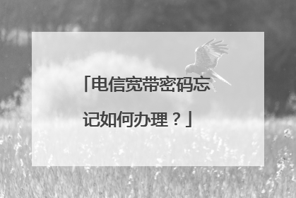 电信宽带密码忘记如何办理?
