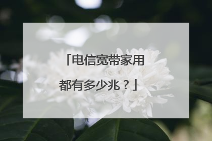 电信宽带家用都有多少兆?