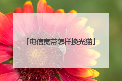 电信宽带怎样换光猫