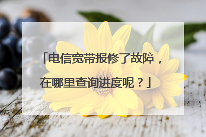 电信宽带报修了故障,在哪里查询进度呢?