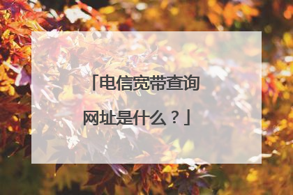 电信宽带查询网址是什么？