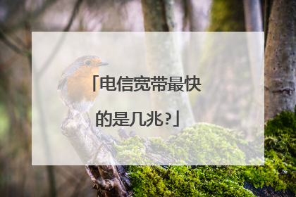 电信宽带最快的是几兆?