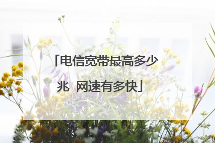 电信宽带最高多少兆 网速有多快