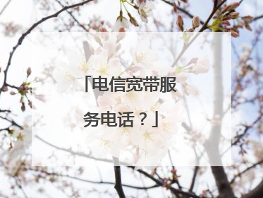 电信宽带服务电话?