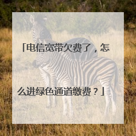 电信宽带欠费了，怎么进绿色通道缴费？