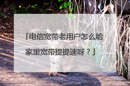 电信宽带老用户怎么给家里宽带提提速呀?