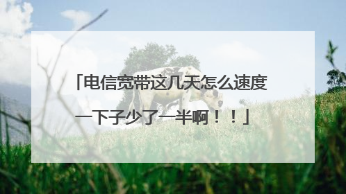 电信宽带这几天怎么速度一下子少了一半啊!!