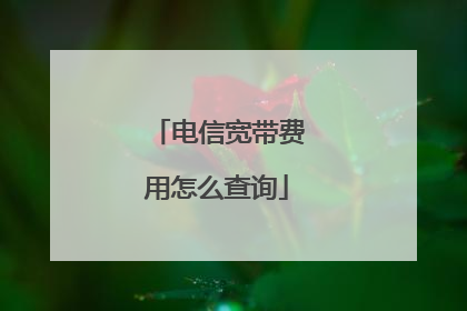 电信宽带费用怎么查询