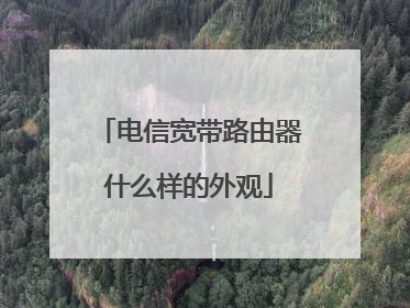 电信宽带路由器什么样的外观