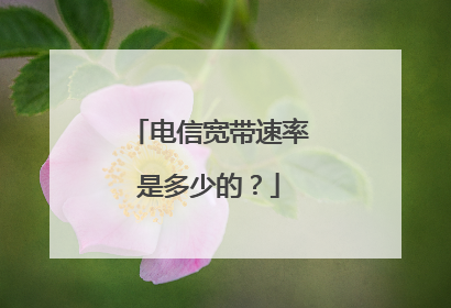 电信宽带速率是多少的?