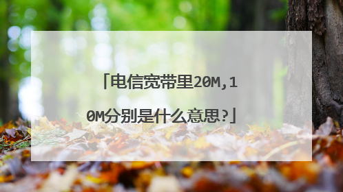 电信宽带里20M,10M分别是什么意思?