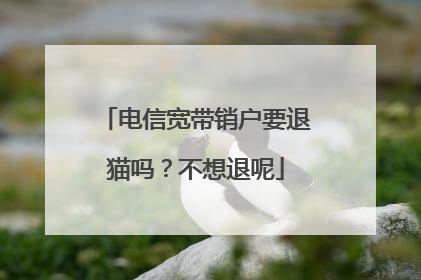 电信宽带销户要退猫吗?不想退呢