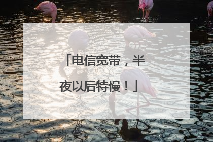 电信宽带，半夜以后特慢！